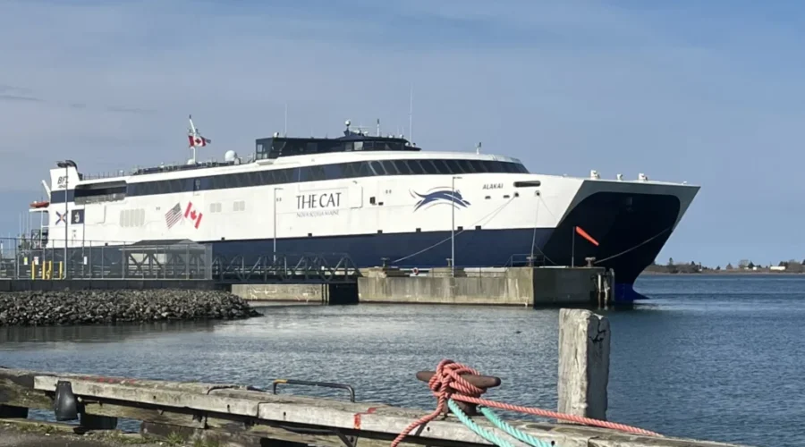 Passenger numbers up on ‘CAT’ ferry over last month