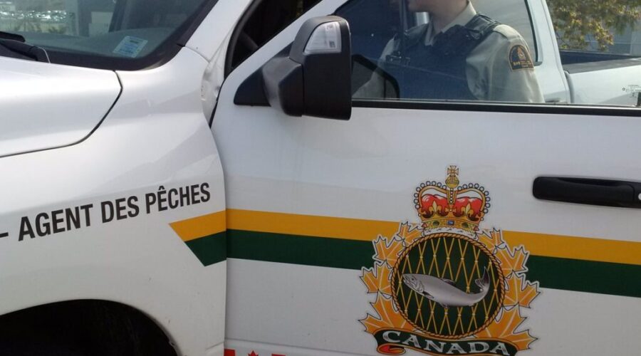 1 arrested and 1M worth of scallop meat seized in southwestern N.S.