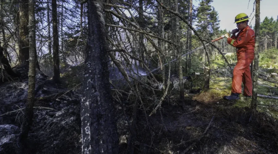 Nova Scotia wildfires stable, but Hurricane Erin winds a concern for crews