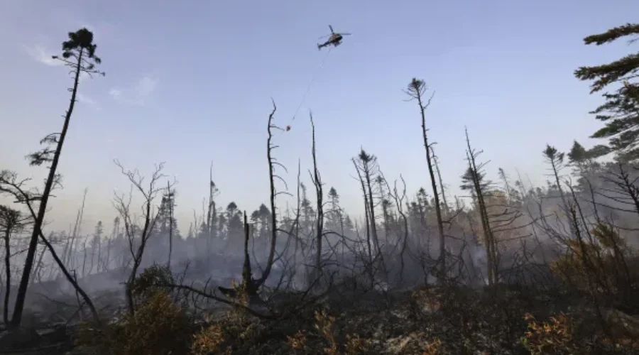 Evacuations for businesses lifted near Susies Lake wildfire