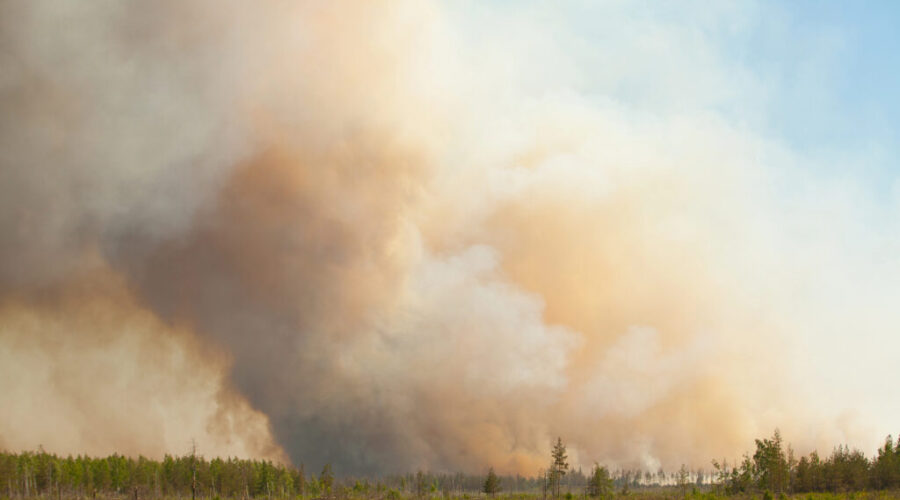 Wildfire in Kings County now being held
