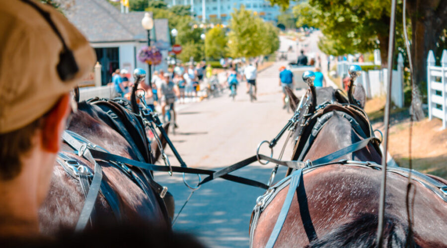 Horse and buggy overturns at end of Queens County Parade