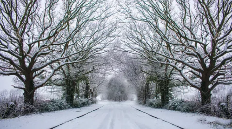 What the Almanac Says About Winter in Nova Scotia