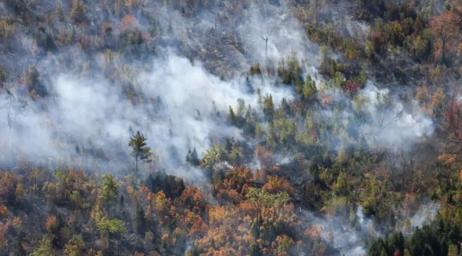 More firefighters helping to battle Lake George wildfire