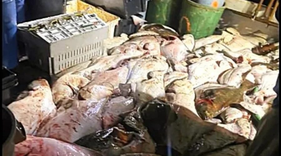 Illegal fishing costs fisherman $76K in fines