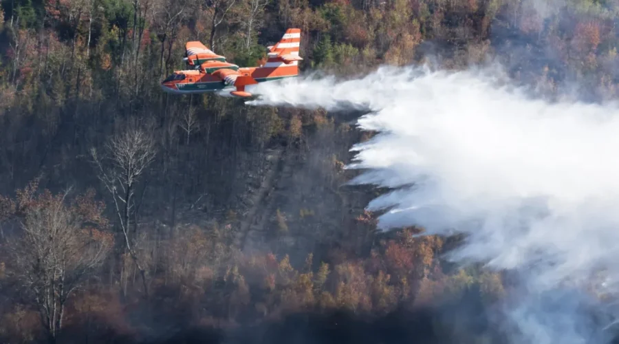 Lake George wildfire now being held, evacuees can return home Thursday