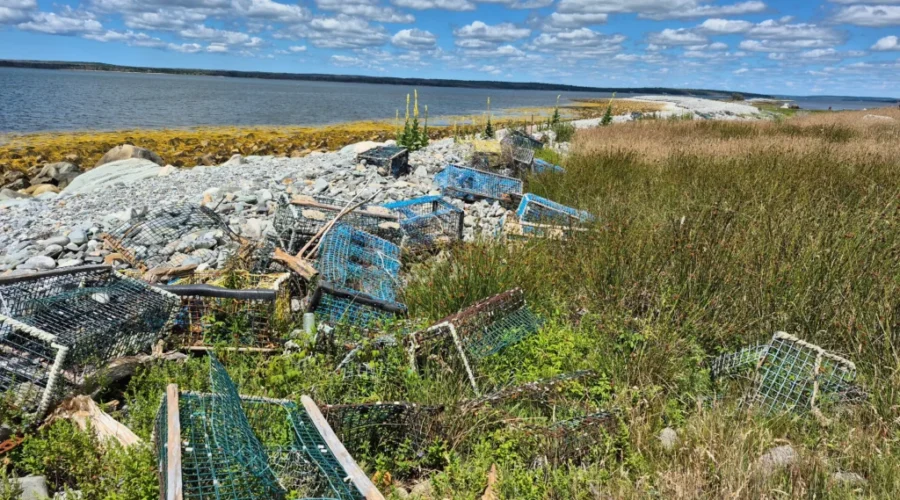 Scotian Shores begins multi-year clean-up of McNutts Island