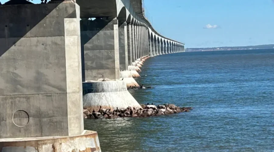 More motorists crossed Confederation Bridge to PEI in August