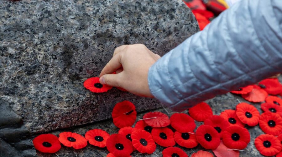 Province’s top judges speak on poppy ban