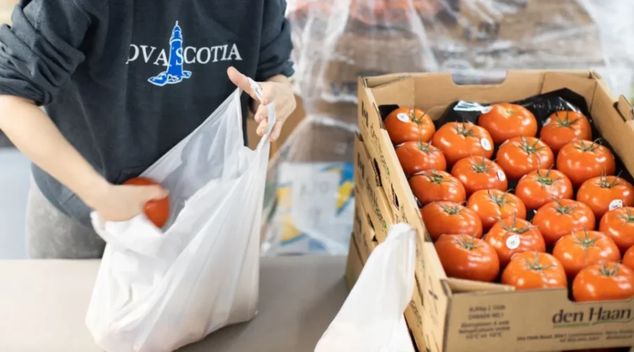Funding for more local food in N.S.’s public institutions