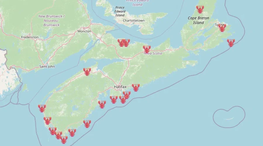 Here’s Where You Can Find All The Lobster Trap Christmas Trees!