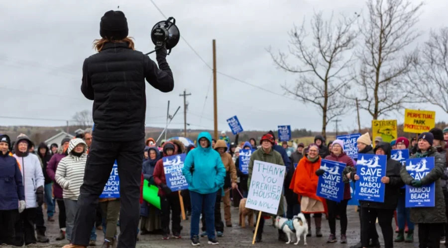 Local graphic novelist is standing up for West Mabou Beach
