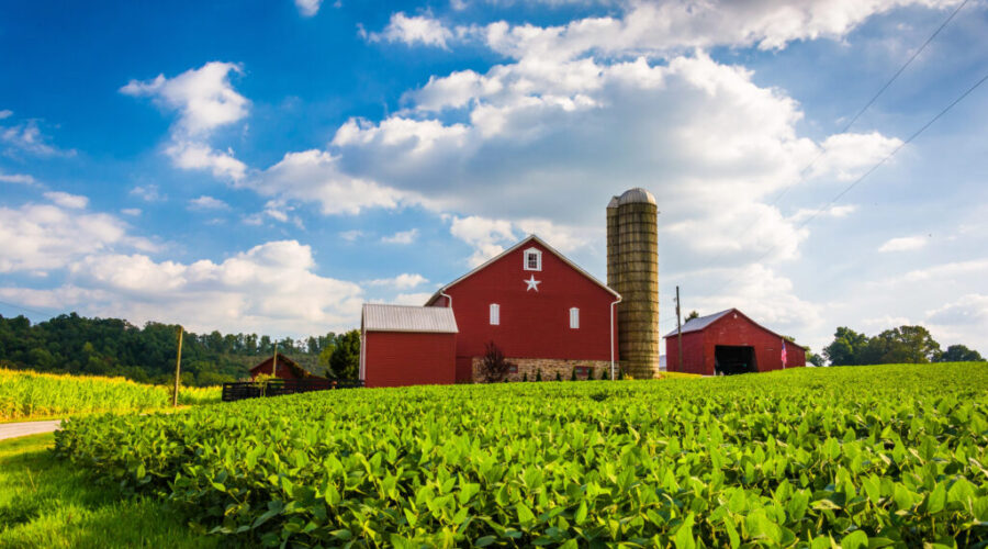 New program to help farmers afford land