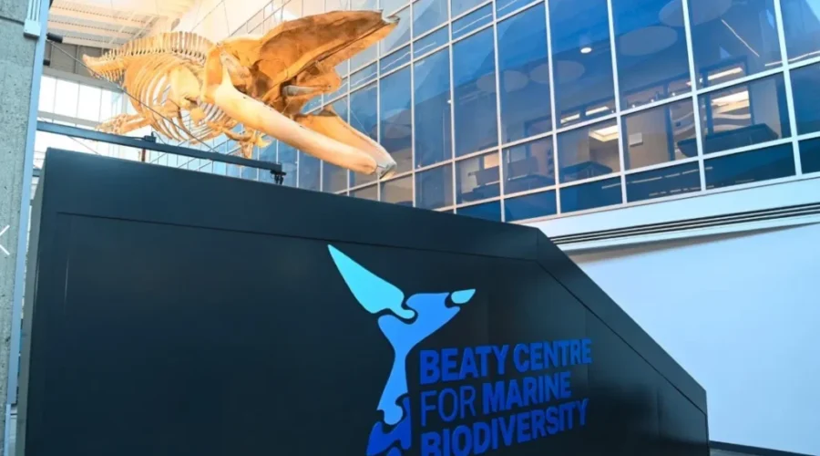 Halifax aquarium opening big success