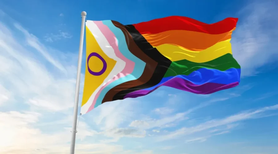Grant program aims to support Nova Scotia’s 2SLGBTQIA+ community