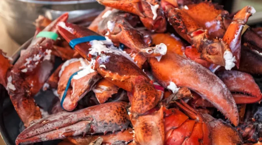 Lobster Crawl launches search for its 2026 Lob’STAR ambassador