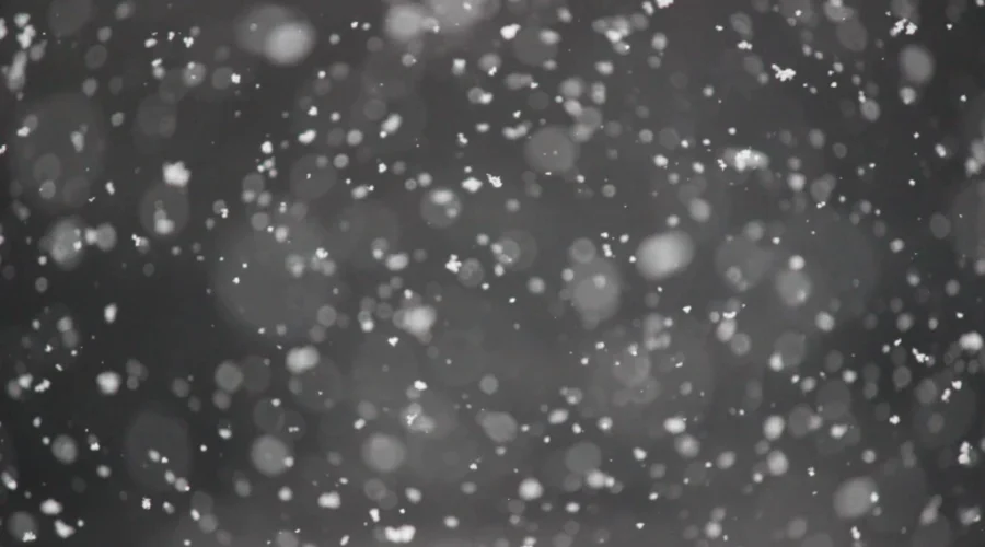 Snowfall warning for part of N.S.