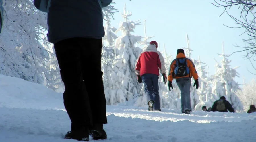 Weekly outdoor group walks available across Nova Scotia