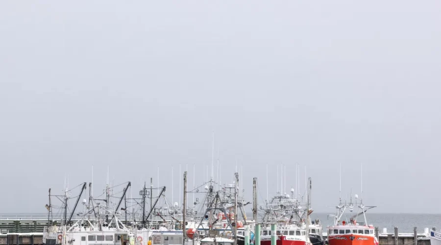 Port of Digby gets $600k for climate change protection