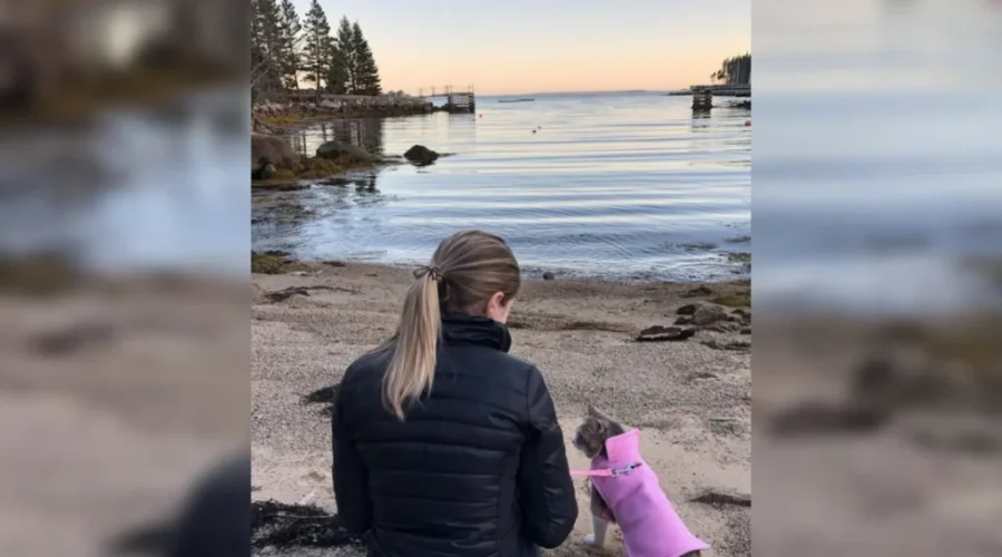 My Grandfather’s Cat marks 5-year milestone, helping more than 1,500 pets