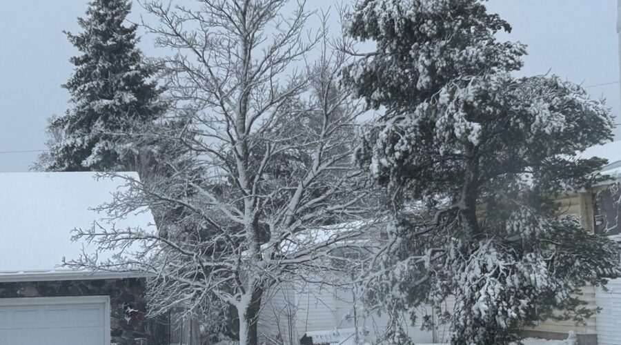 UPD: More wintry weather expected in N.S.