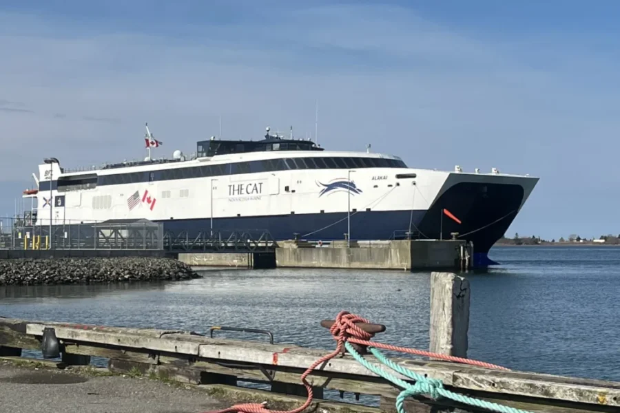 Province to ‘soon’ release final ‘CAT’ ferry study