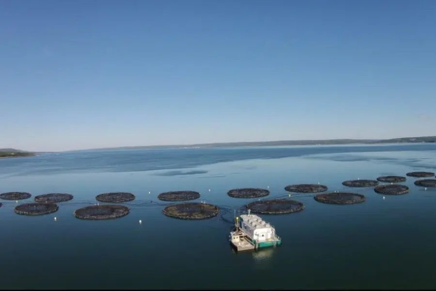 Salmon farm expansion in Liverpool Bay gets greenlight