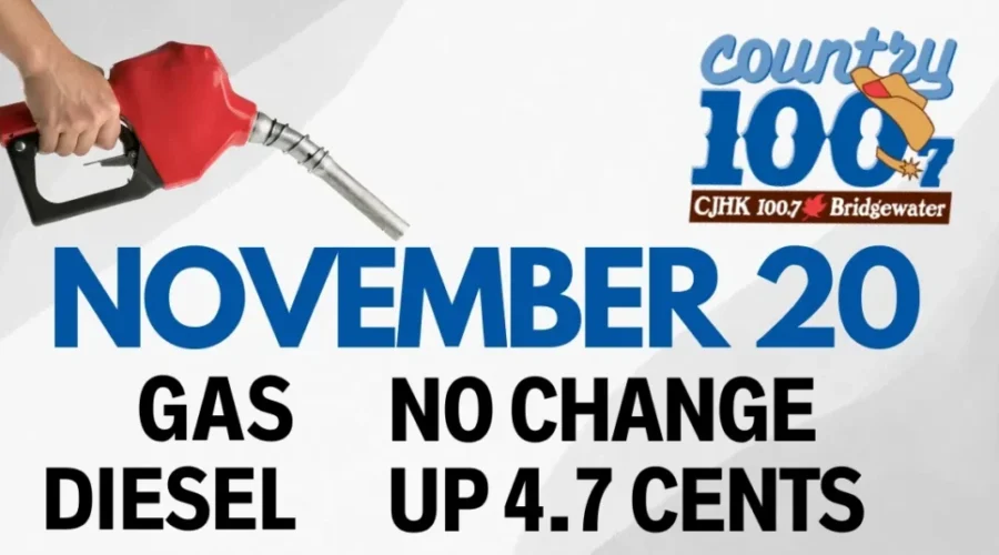 ⛽Prediction – November 20th