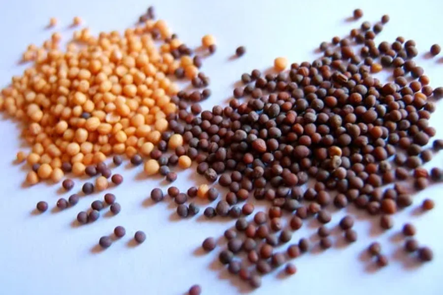 If You Receive A Package Of Random Seeds In The Mail….Don’t Open Them!!!