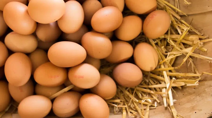 Cackle Berries, Henfruit, Butt Nuggets – How Do You Like Your EGGS??