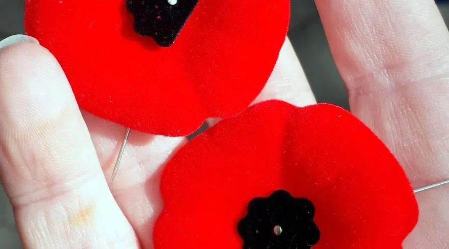 Time To Get Your Poppy!!! Here’s Where You Can Find Them In Bridgewater!