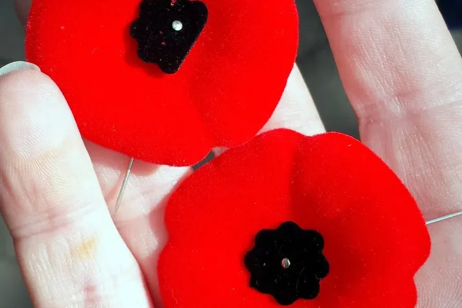 Time To Get Your Poppy!!! Here’s Where You Can Find Them In Bridgewater!