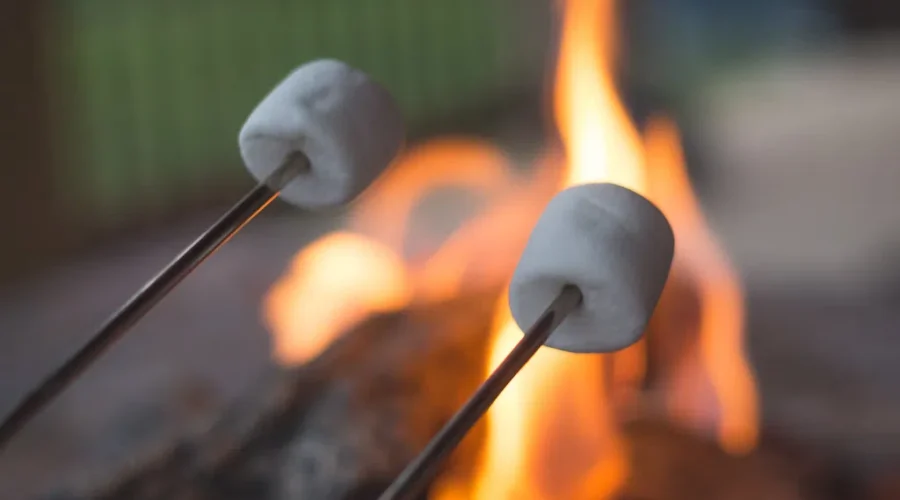 Makin Friends And Fightin Skeeters, Summer Camp Season Is Coming