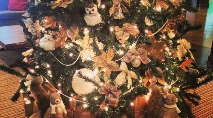 What Or Who HOOOO Is In Your Tree This Christmas