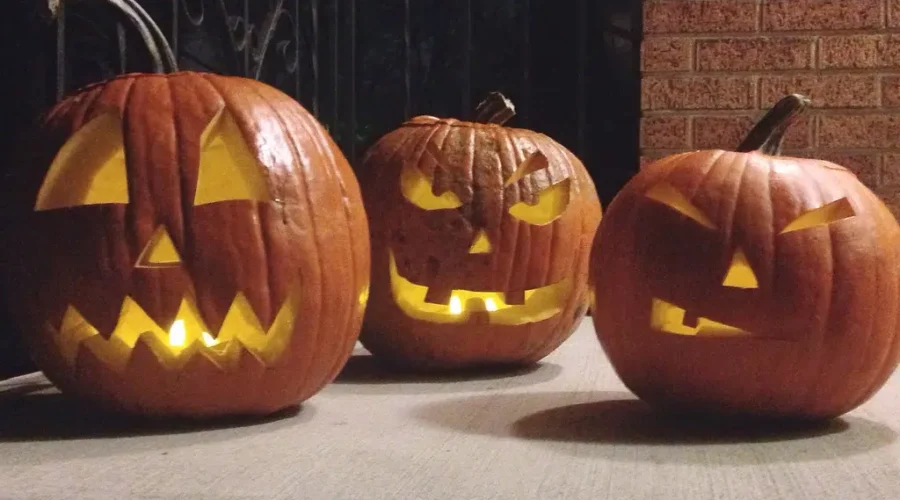 Are You A Pumpkin Pro? These Tips Might Help