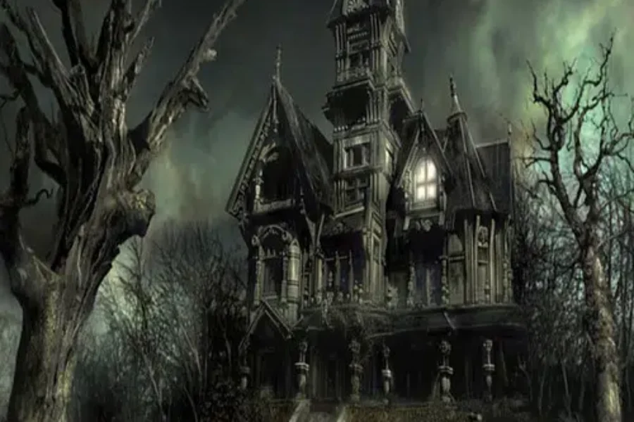 Do You Enjoy Being REEL Scared? Beginners Horror Movie Guide