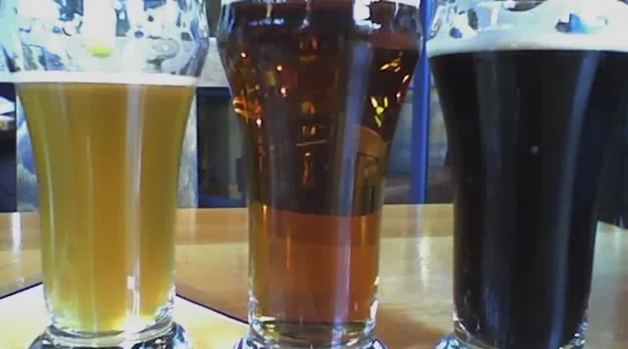 You Could Be Paid To Drink Beer And See How Hungover You Get!!!