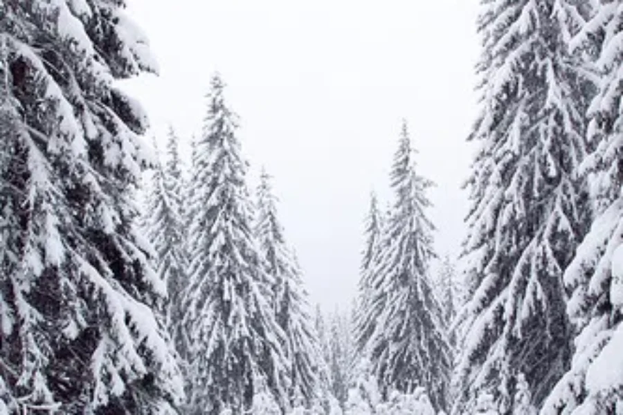 Wondering What To Do With The White Stuff?