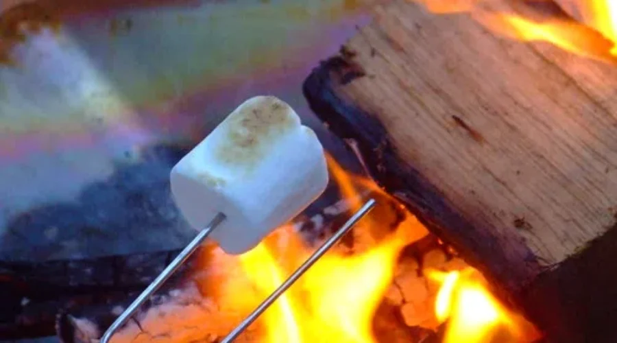 Roasted To Perfection – Marshmallows And Campfire Fun
