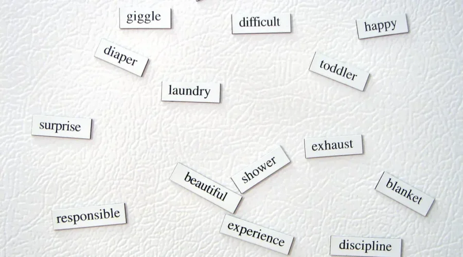 The Most “Searched For” Word Of 2022 Is……..