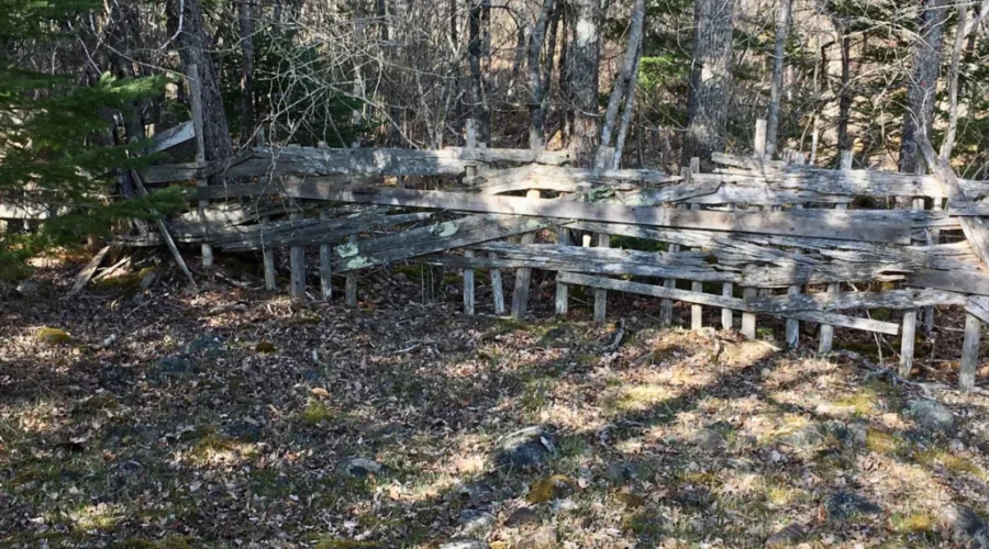 Valuable Looks Different With Currant Lumber Costs