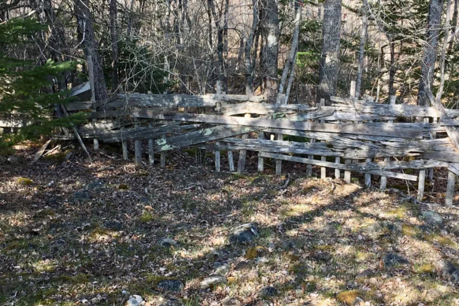 Valuable Looks Different With Currant Lumber Costs