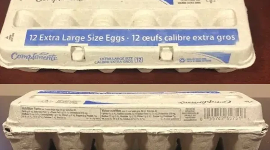 Eggs Recalled In Nova Scotia By CFIA