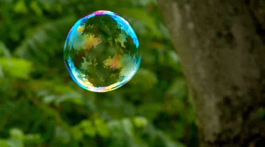 The Bubble, Are You Enjoying Our Safe Zone Or Frustrated By Restrictions?