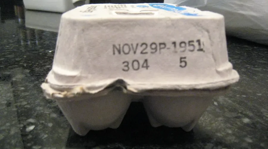 Leftovers OR Compost? How Can You Be Sure??