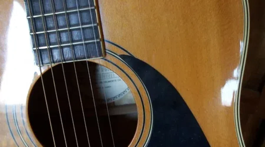 ULTIMATE ONLINE NOVA SCOTIA KITCHEN PARTY…Are You A Member?