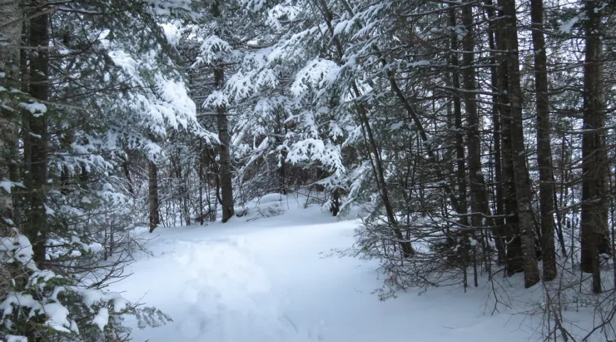 Live In The MODL? Want to Get Your Hands On A “District of Lunenburg Hike Badge”? Here’s How!!
