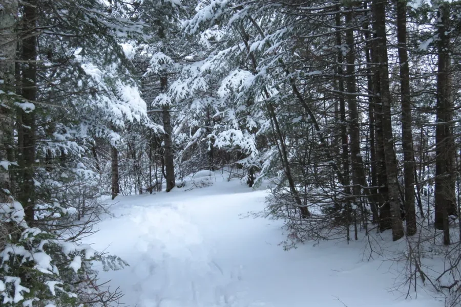 Live In The MODL? Want to Get Your Hands On A “District of Lunenburg Hike Badge”? Here’s How!!