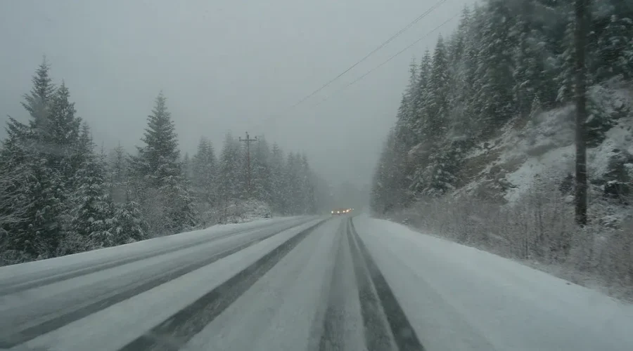 Springtime Or Snowy Weather… Hate The Snow Or Loving A Last Taste Of Winter?