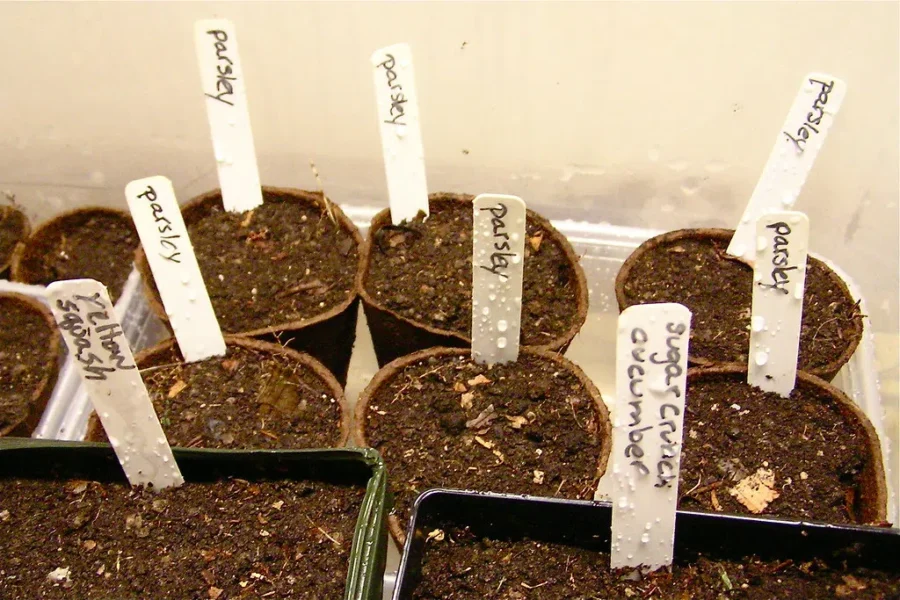 Starting Seeds Inside? Pitter Patter, Better Get At Er!!